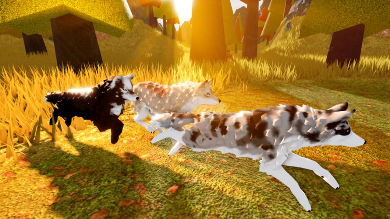 Three Forgotten Worlds wolves running through tall autumn grass at sunset